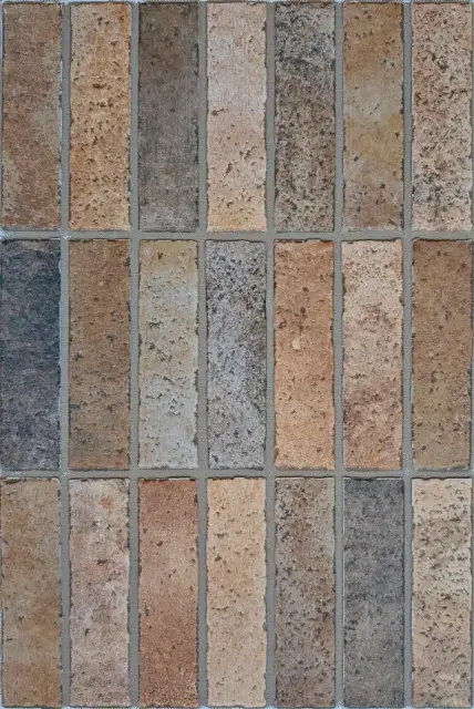 Elvas Coto 40x60