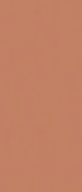 Arcilla Red matt  ZZ 120x280