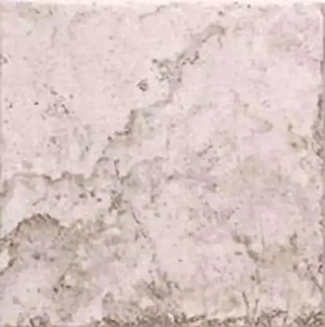 Travertine Agrippa ZZ 15x15