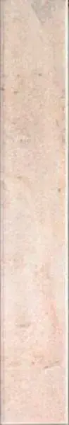 Tampa White 5x30