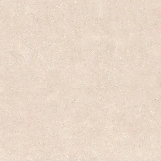 Rinascenza Arena Bianco Antico Matte R10 B 120x120