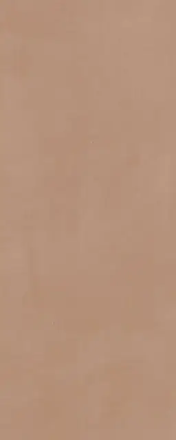 Каннареджо оранжевый матовый 20x50