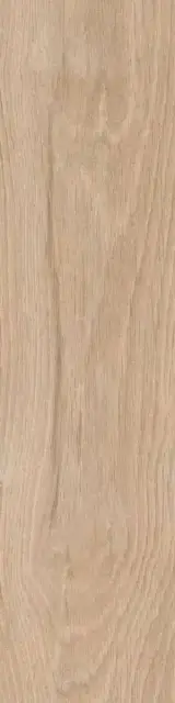 Аргания бежевый светлый матовый 9,9x40,2x0,8