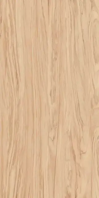 Олива бежевый обрезной ХХ|60x119,5