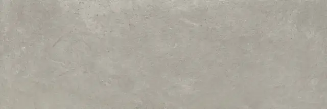 Керамическая плитка REINE GREY 30X90