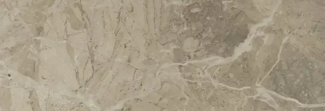 Керамическая плитка ELEGANCE NATURAL 2984 NPLUS