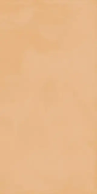 Керамическая плитка 60X120 TOUCH EVO CORAL RETT