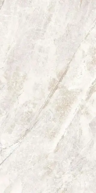 Reims светло-серая 60x120 ZZ