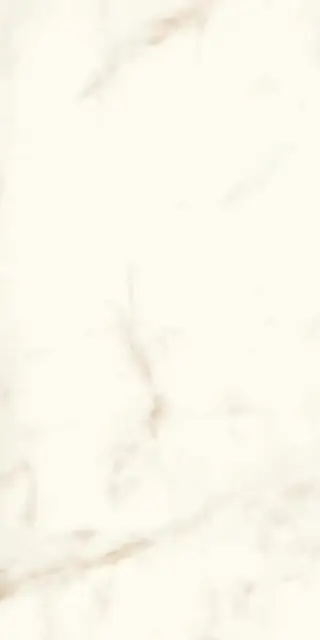 Marvel Calacatta Delicato Lappato|60x120