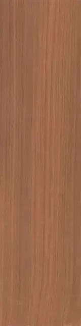Аргания коричневый матовый 9,9x40,2x0,8