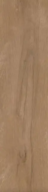 Аргания бежевый тёмный матовый 9,9x40,2x0,8