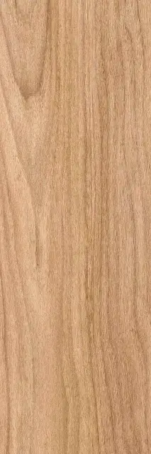 Siberia beige PG 01 20х60