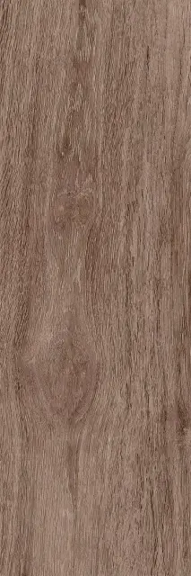 Baikal brown PG 02 20х60