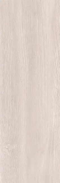 Baltika grey PG 01 20х60
