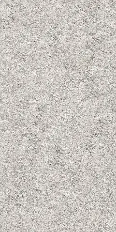 Brutus