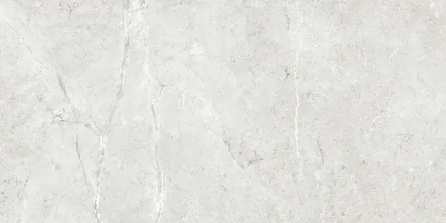PALERMO GRIS  60X120X9 REC.