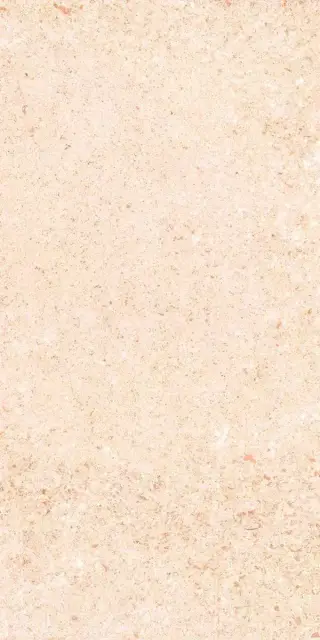 Shunut Beige G302/Шунут бежевый мат 60x120 XX