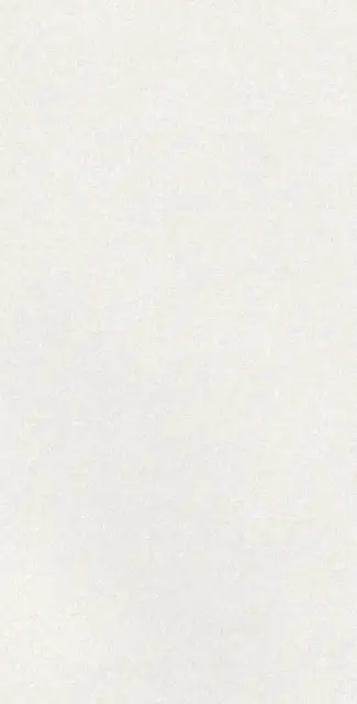 CAPRICE WHITE RECT 60X120