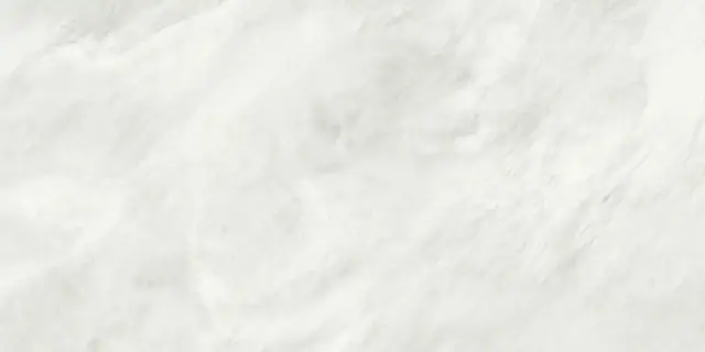 ALEXANDRIA WHITE MATT RECT 60X120