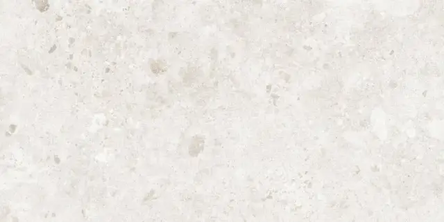 BIERZO PERLA SEDA  60X120