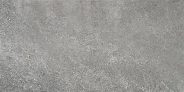 INDIC GREY MT 60X120  NANOTECH  RECT.
