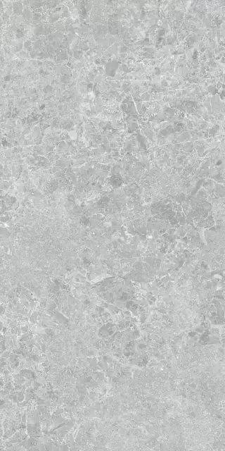Керамогранит 3ДБ Харизма серый матовый ретифицированный / P.E. 3DB Charisma grey mt 60X120 rect