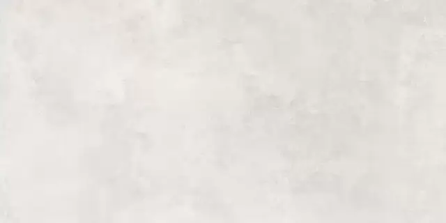 Керамогранит Элементи жемчужный матовый ретифицированный / P.E. Elementi pearl MT 60X120 rect