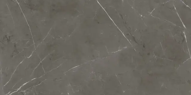 ABK Sensi 900 Керамогранит неглазурованный (UGL) Stone Grey 60x120 полированный