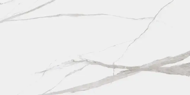 Dogma Project Antibacterial Керамогранит Calacatta Levigato 60x120 полированный