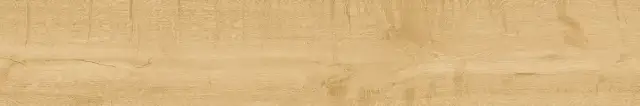 Atlas Concorde Heartwood Керамогранит неглазурованный (UGL) Malt 20x120 натуральный