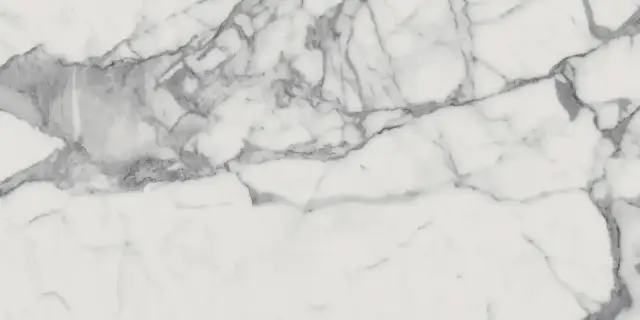 Italon Керамический гранит Charme Evo Floor Project Керамогранит Statuario 60x120 люкс