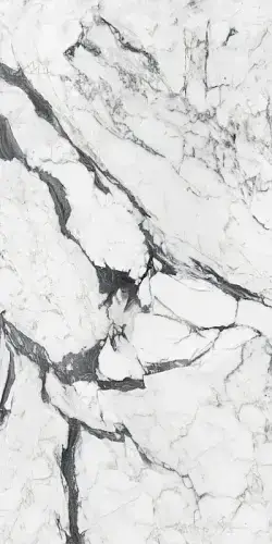 Calacatta Altissimo Blanc Gloss