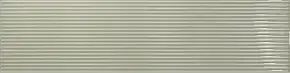 Salvia Gloss