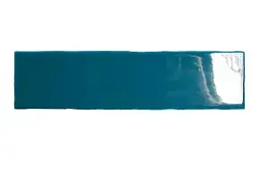 Ocean
