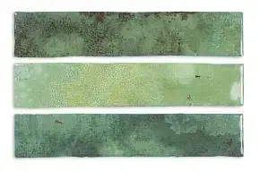 Moss