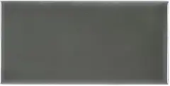 Liso Eucalyptus