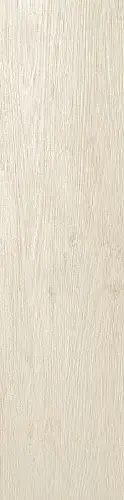 Magnolia Lappato / Магнолия Лаппато