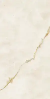 Gold Polished