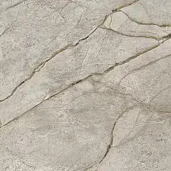 Empire Silver Root Polished