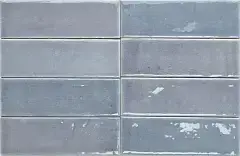 Viola