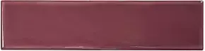 Grace Berry Gloss