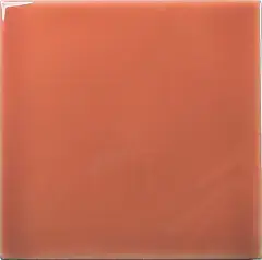 Square Coral