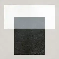T White
