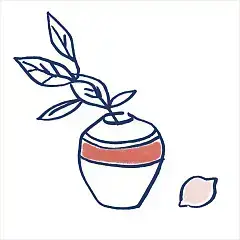 Costiera Глянцевый (50 Вариантов Паттерна)