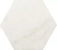 Carrara Hexagon Matt