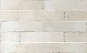 Oatmeal