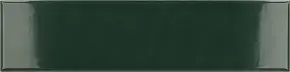 Laurel Green Glossy