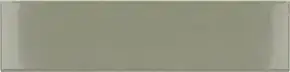 Tansy Green Glossy