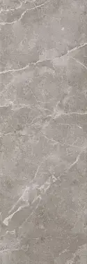 Grey Fleury