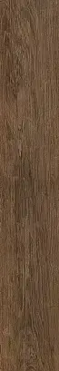 Dark Oak